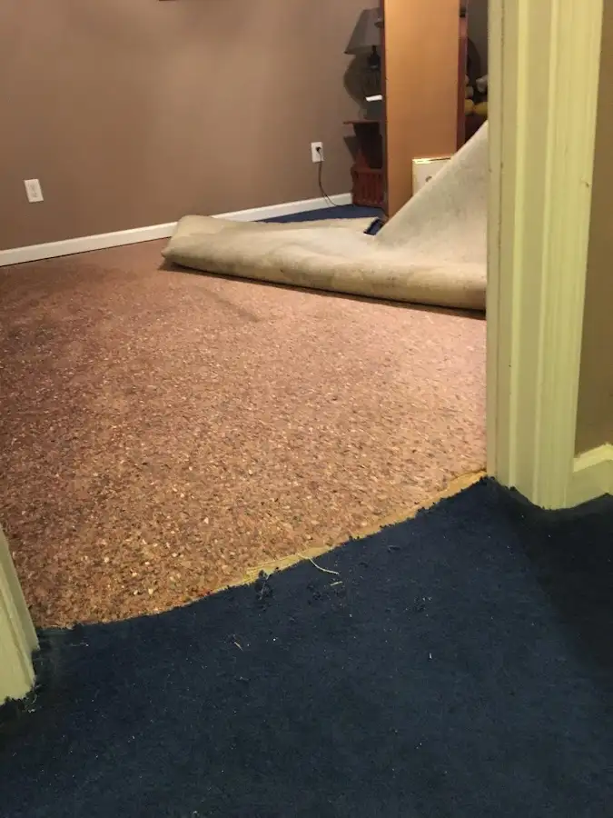 Carpet pad removal revealing water damage during Drying & Dehumidification in North Bay Village