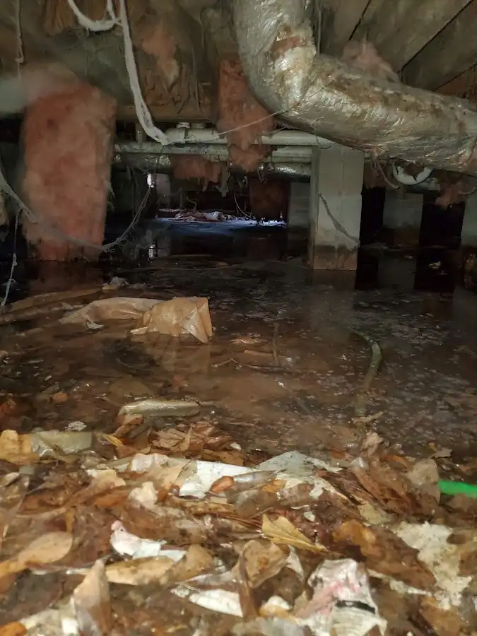 Crawl space flood assessment for Commercial Water Damage Restoration in North Bay Village